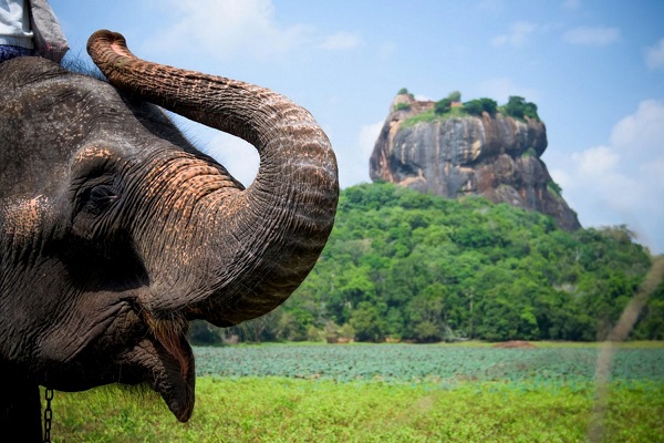 Шри-Ланка: незабываемый отдых гарантирован